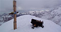 Köllkuppe - Cima Marmotta 3.330m vor Adamello-Gruppe